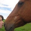 my horsie chip <3 countrygirl3784 photo