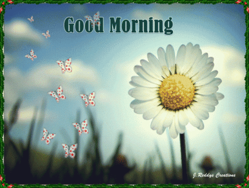  Good Morning My Dear vrienden Peter And Susie <3