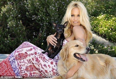 Pamela And Her Dogs