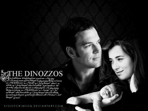  The DiNozzos