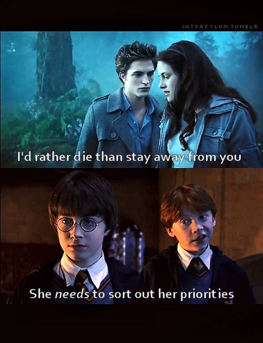  funny twilight and harry potter pictures