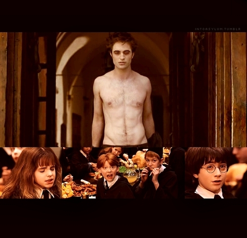 funny twilight and harry potter pictures