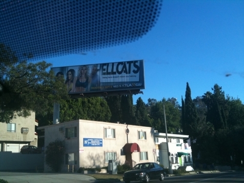  Hellcats Billboards