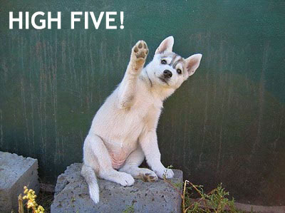  High five!