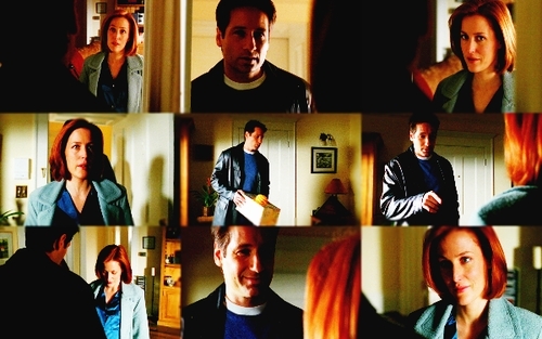  Mulder/Scully Picspams