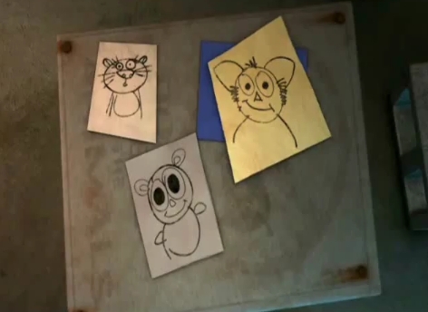 The penguin's drawings