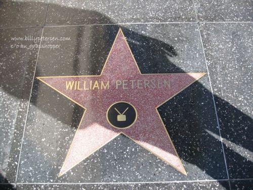  Walk of Fame star, sterne William Petersen