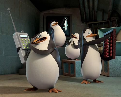  the penguins of madagascar fond d’écran