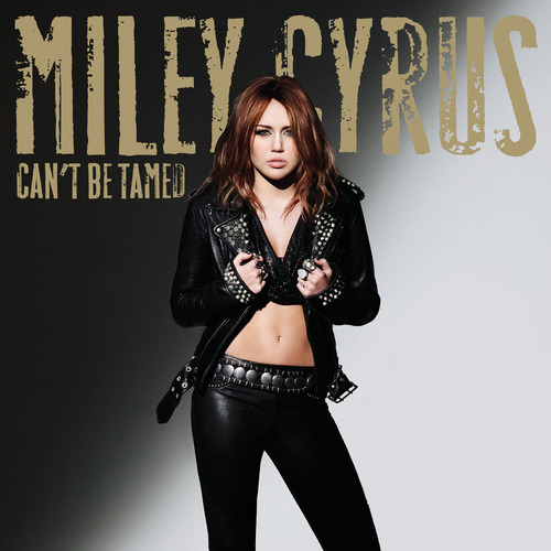  Can't Be Tamed [FanMade Album Cover]