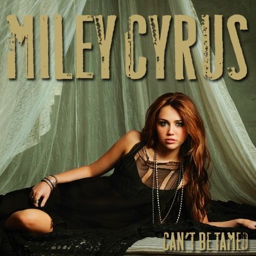  Can't Be Tamed [FanMade Single Cover]