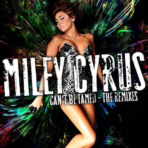  Can't Be Tamed (The Remixes) [FanMade Single Cover]
