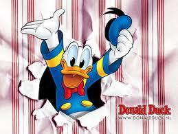  Donald canard