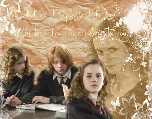 Ron and Hermione <3 ;*