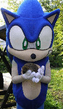  sonic the hedgehog holding a hedgehog