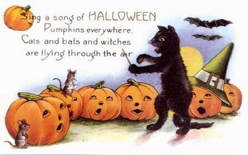  Halloween black cat image