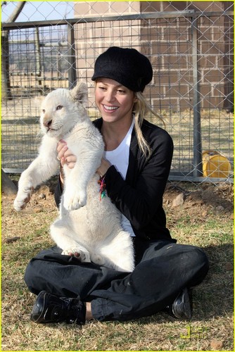 Shakira Gives Lions Share Of Love