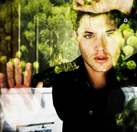  Jensen on a glass tường