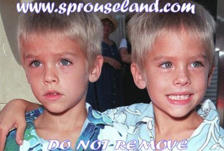  Dylan and Cole Honable Mention As Cutest Child Stars!!!