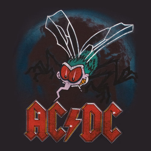  The AC/DC Fly