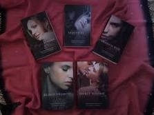  Vampire Academy کتابیں
