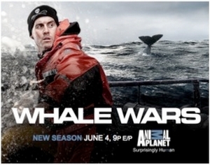  고래 Wars Ad