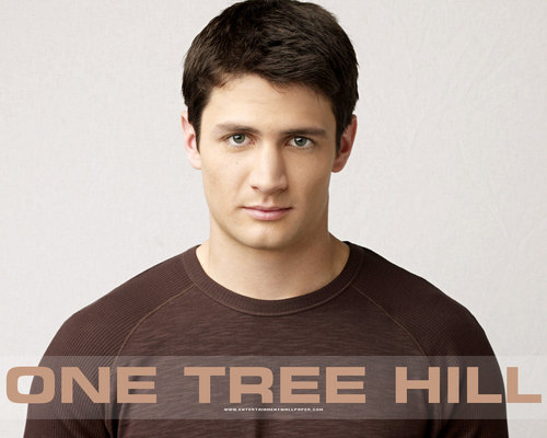  one pohon bukit, hill