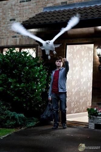 HP7 Images
