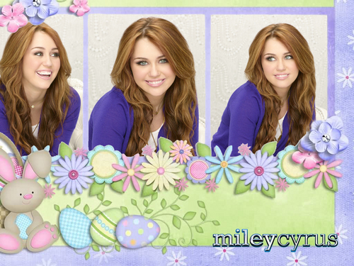 Hannah Montana forever -miley stewart promoshoot wallpapers by dj!!!