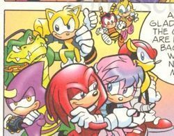  The Chaotix