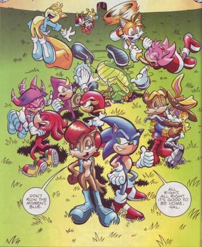The Freedom Fighters and Chaotix