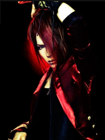  The GazettE - RED looks
