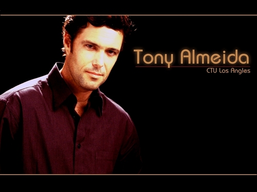  Tony Almeida