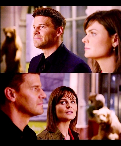  "Welcome home, Bones." "Welcome home, Booth."