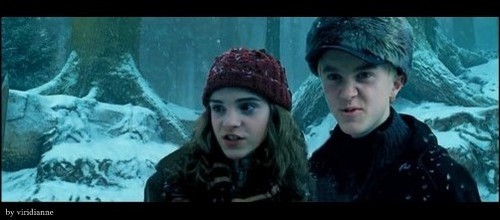 Draco and Hermione