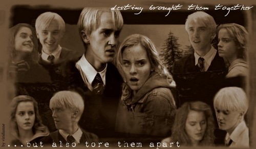  Dramione Collage