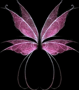  Fairy Wings