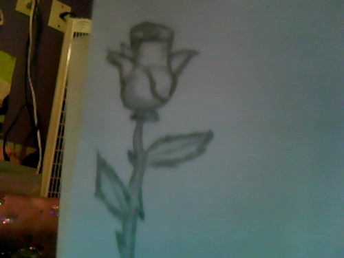 Hand drawn rose