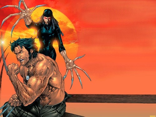  Lady Deathstrike and Wolverine