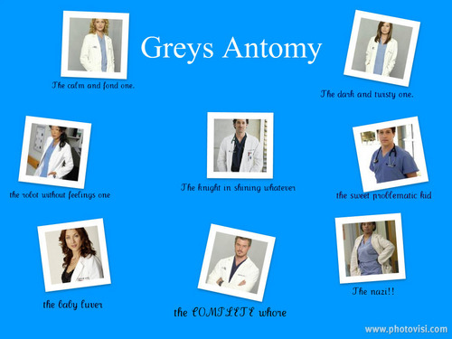  greys anatomy collage
