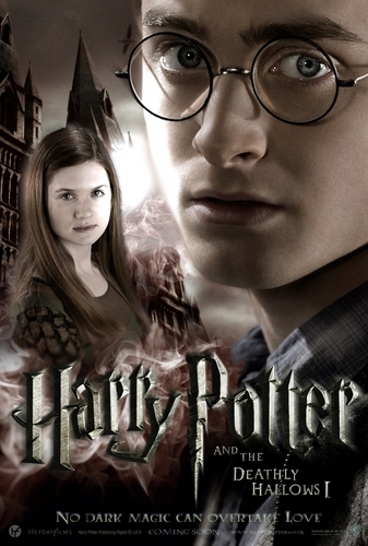  harry potter dh poster