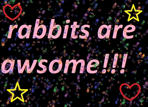 rabbits are awsome!!!