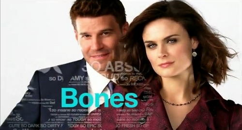 Bones Promo Season 6