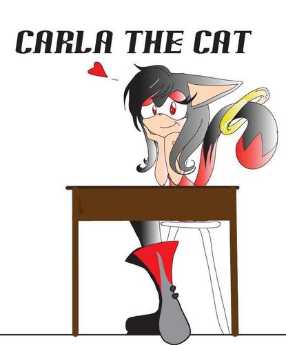  Carla Colored