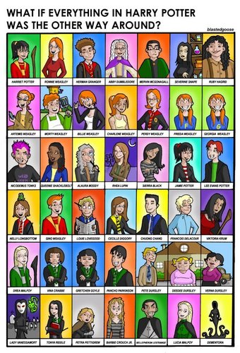  If Genders were switched in HP roles