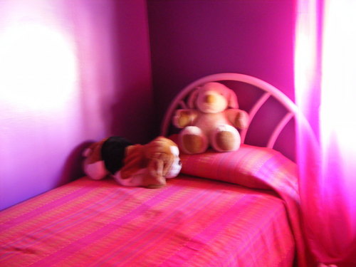  My new room <3 गुलाबी & Purple = EPIC