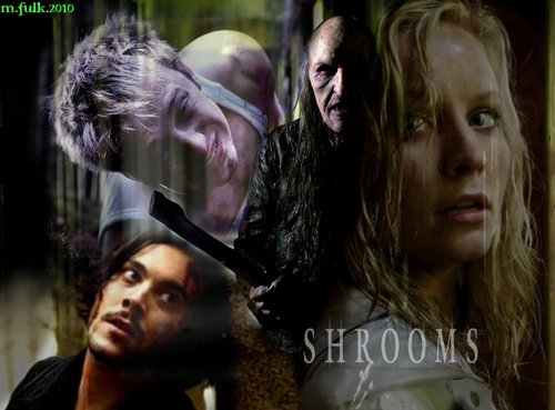  Shrooms