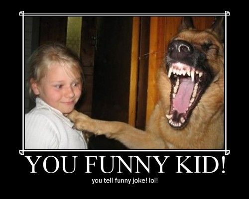  XD i want this dog!