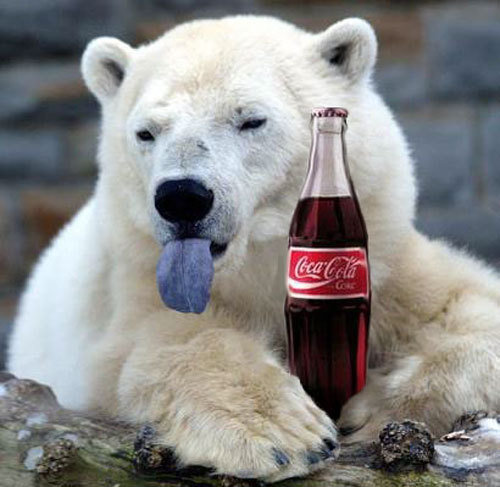  :P my coca cola