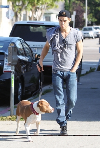  Paul in L.A. walking his dog