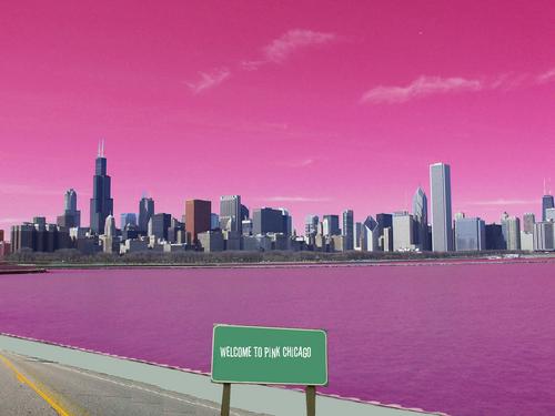  merah jambu Chicago